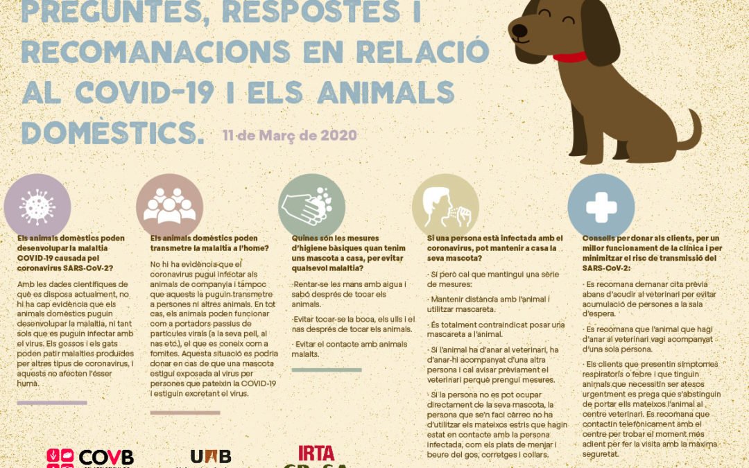 informació veterinaris coronavirus covid-19